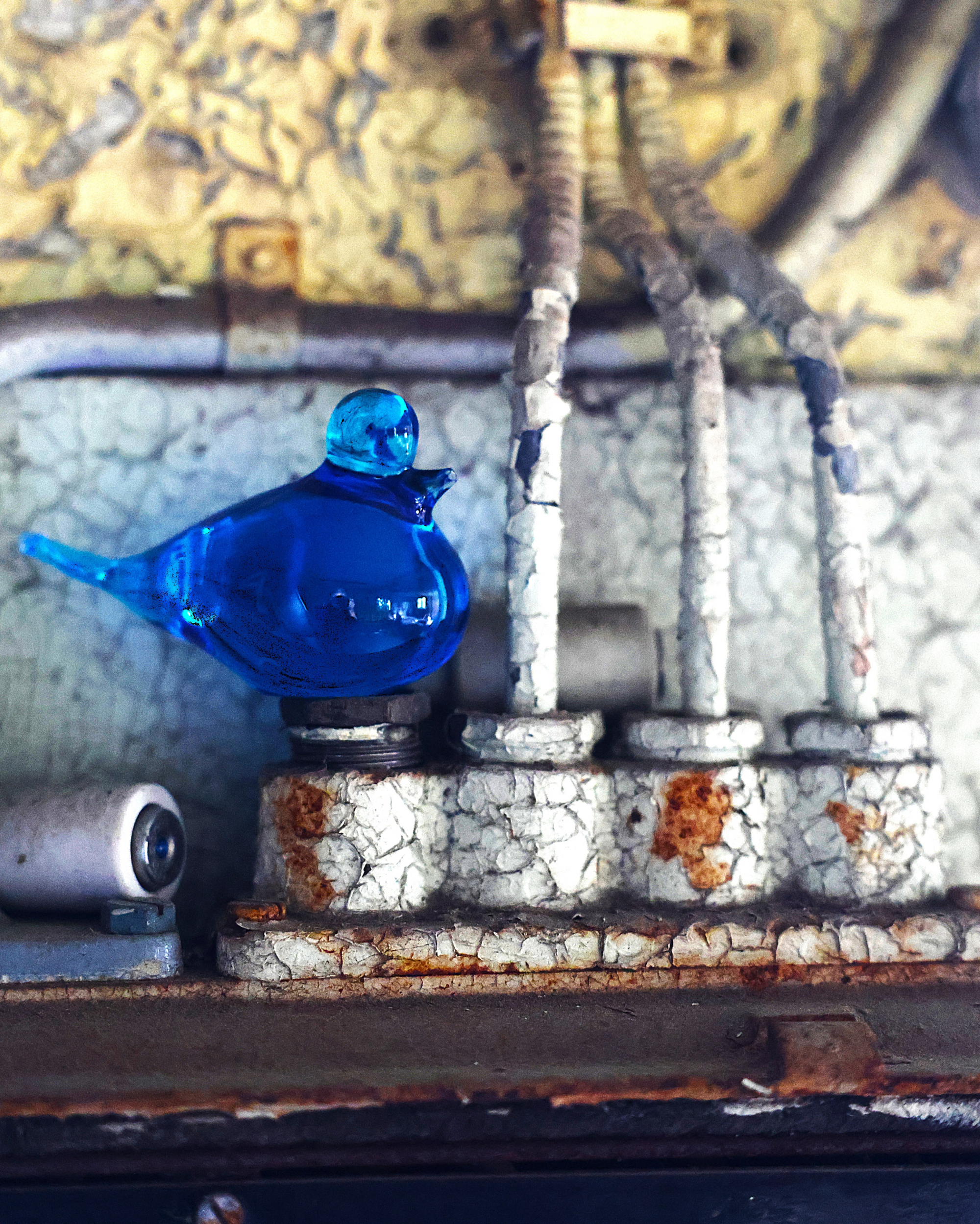 GLASFÅGEL / GLASS BIRD